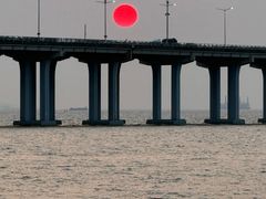 -宝安西湾红树林湿地公园