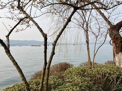 -浙江西子宾馆·牡丹厅