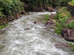 -东天目山风景区