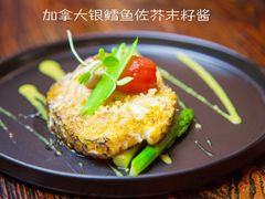 加拿大银鳕鱼佐芥末籽酱-凯撒城堡西餐厅(颐和国际店)