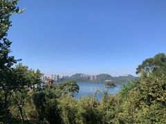 -梧桐山风景名胜区