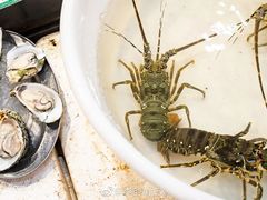 -御唐府海珊瑚主题餐厅