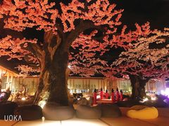 -蓝鲸湾汤泉(包河店)