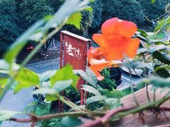 -浙C老邻舍(西城海错店)