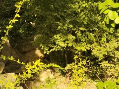 -恭王府博物馆