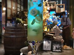 -胡桃里民谣酒馆