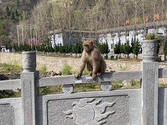 -神农山景区