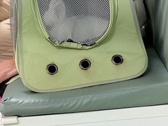 -北京观赏动物医院·24小时大型综合·猫专科·异宠专科