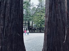 -北海道神宫