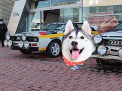 -金港秋名山·双层卡丁车场
