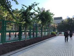 -香港佐治五世纪念公园