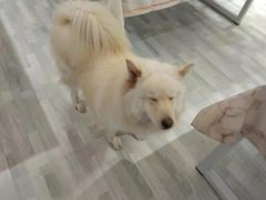 -肆兮眼镜·蔡司·徕卡战略合作店(大坪店)