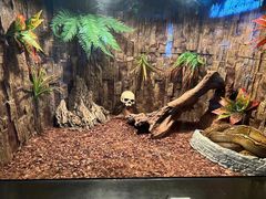 -成都浩海立方海洋公园