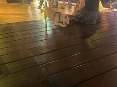 -瑞虹新天地月亮湾