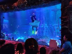 -沈阳海洋探索中心