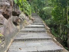 -广州白江湖森林公园