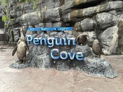 -新加坡飞禽公园