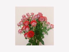 -至潮影城(厦禾路美仁广场店)