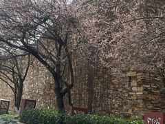 -国际非物质文化遗产博览园