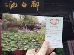-上海醉白池公园