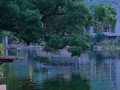 -鹿亭中村