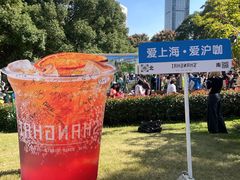 -陆家嘴中心绿地