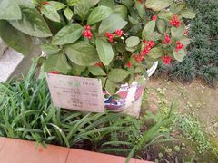 -广州神农草堂中医药博物馆