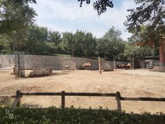 -石家庄市动物园