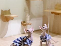 -Double Rui宠物酒店