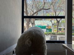 -漆黑觉米粉(三里屯店)