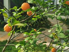 -中国农科院国家农业科技展示园