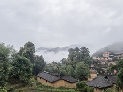 -杨家堂村