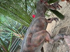-呀路古热带植物园