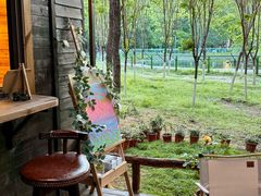 -长白岛森林公园