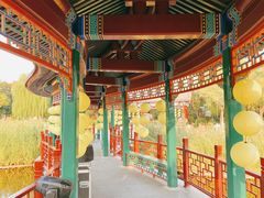 -西海子公园