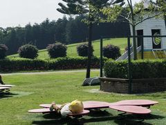 -迪茵湖田家舍生态农场