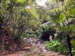 -广州市白云山风景名胜区