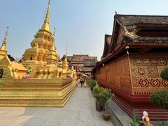 -西双版纳傣族园