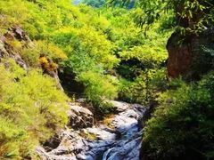 -云岫谷自然风景区