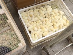 -中环花鸟鱼虫市场