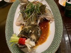 -采悦轩中餐厅·粤菜·海南菜(神州半岛喜来登度假酒店)