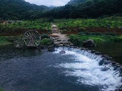-广州市石门国家森林公园
