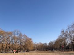 -东坝千亩湖公园