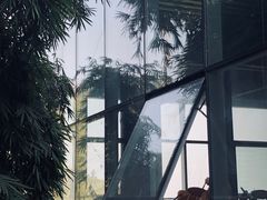 -川西竹海景区