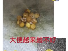 -雨林宠物医院 非犬猫异宠专科