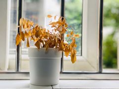 -星海音乐学院(沙河校区)