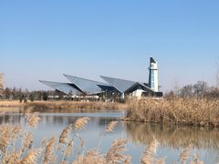 -盐城丹顶鹤湿地生态旅游区