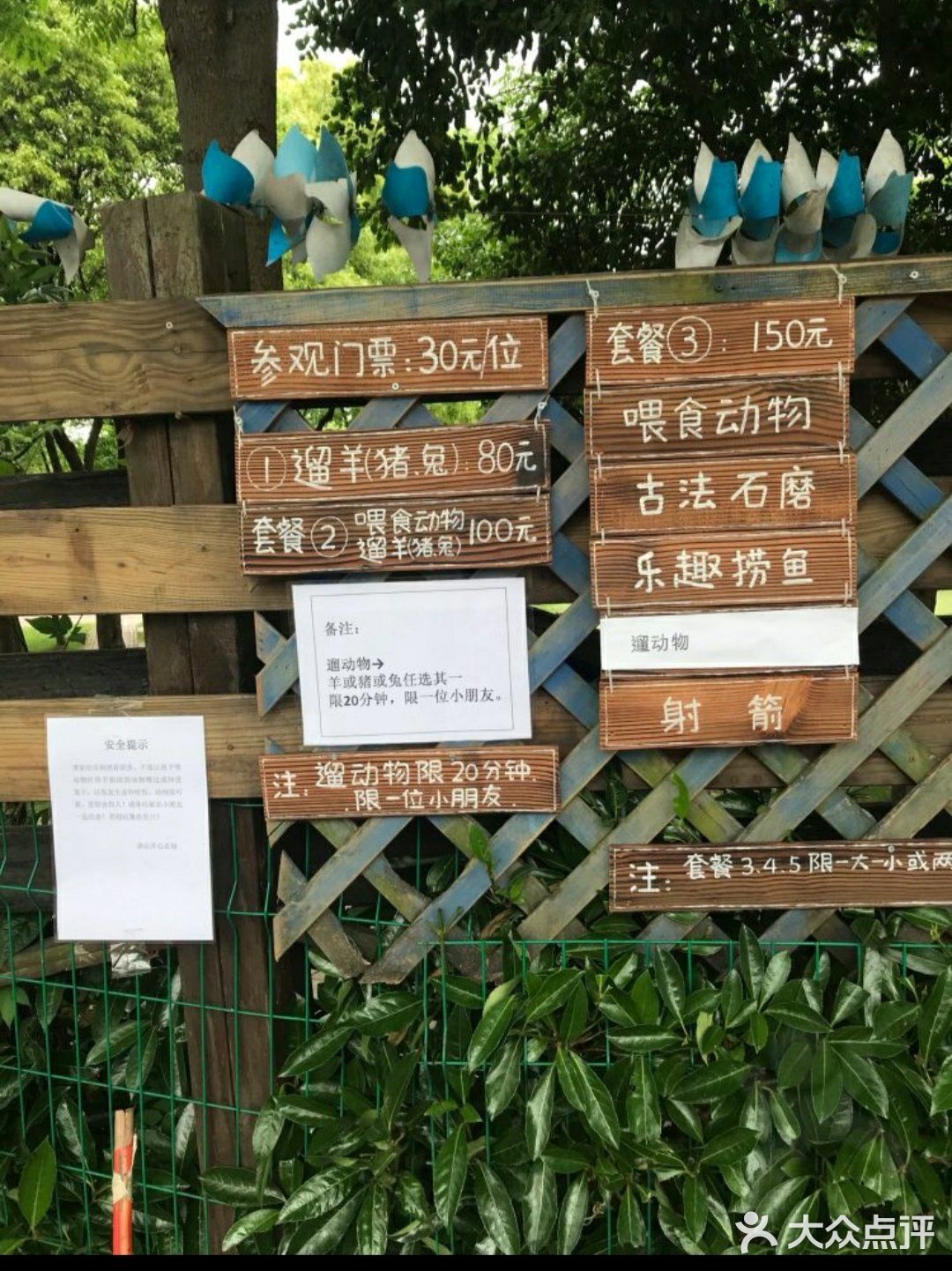 春日遛娃打卡佘山