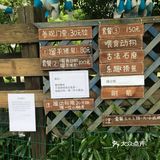 春日遛娃打卡佘山