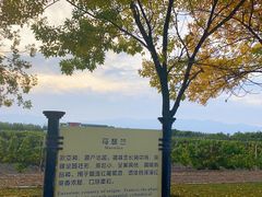 -龙谕酒庄